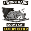 Meme divertente dell'ufficio del gatto – Lavoro sodo Gatto