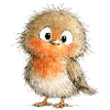 Cute Robin.