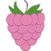 Pink Raspberry Illustration