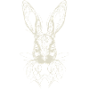 Easter Bunny Bunny Geometry