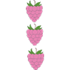 raspberries trio pattern
