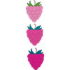 Framboises