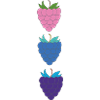 himbeeren dreifarbig