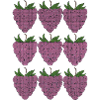 raspberry pattern textile