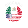 Mexico Pride & Home Mexican Mexico Flag