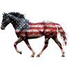 Drapeau des États-Unis de cheval
