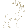 Goldener Hirsch Linienkunst