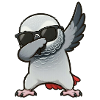 Dabbing Graupapagei