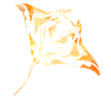 MantaRayGold