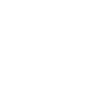 Sri Yantra