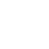 Domestic pig
