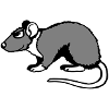 Cool rat Sunglasses Side Rodent Buffy