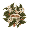 Coffee Cup Flowers Botanical
