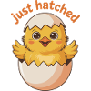 Freshly hatched chick