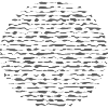 Wavy Circle Echo