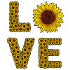 Sonnenblumen-Liebesbriefe Sommer