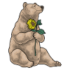 Bear Sunflower