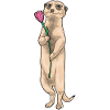 Suricate Tulipe