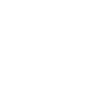 Area 51 Sightseeing Tours