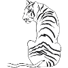 Tiger.
