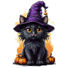 Cat Witch Costume Halloween