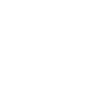 Shit Retro Script