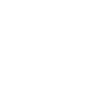 Vegvisir Nordic Compass 