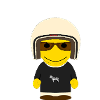GEEKLEY retro zebra helmet