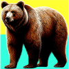 bear