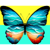 butterfly