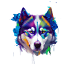 Sibirisches Husky-Hundeporträt Lebendiges Ölgemälde