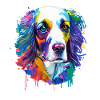 Englischer Springer Spaniel Bunte Spritzkunst