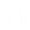 Vogelpaar mit Herzduo