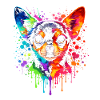 Chihuahua | Lille hundepopkunst