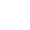 Der Weiße Schwan