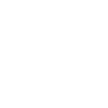 Rock 'N' Roll Script