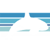 Orca im Ozeanstreifen