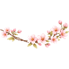 Cherry blossom branch spring motif