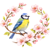 Blue with Cherry Blossoms Spring Motif