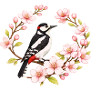 Stor Plettet Spætte med kirsebærblomster Forårsmotiv