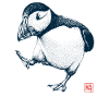 Puffin with Kanji Stamp