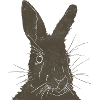 Hase Silhouette Erdfarben