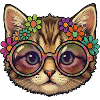 Chaton hippie
