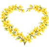 Frühlingsmotiv Forsythien Herzrahmen 