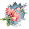Colibri avec des fleurs