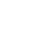 Party