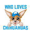 Boy Who Loves Chihuahuas Shirt