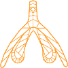 Klitoris_orange