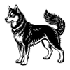 Husky