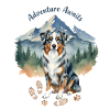 Australian Shepherd Mountains Adventure